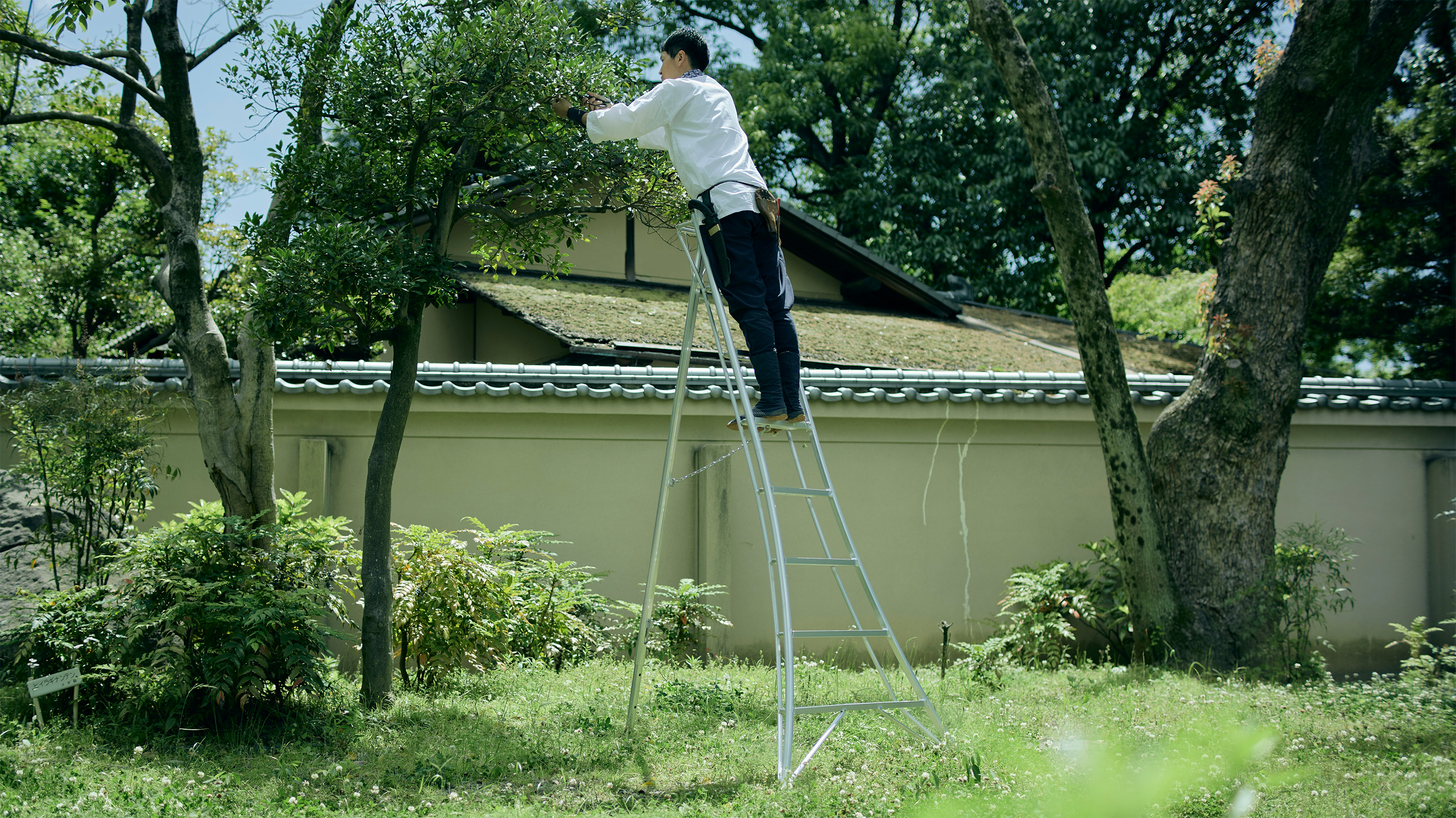 Tripod Ladder