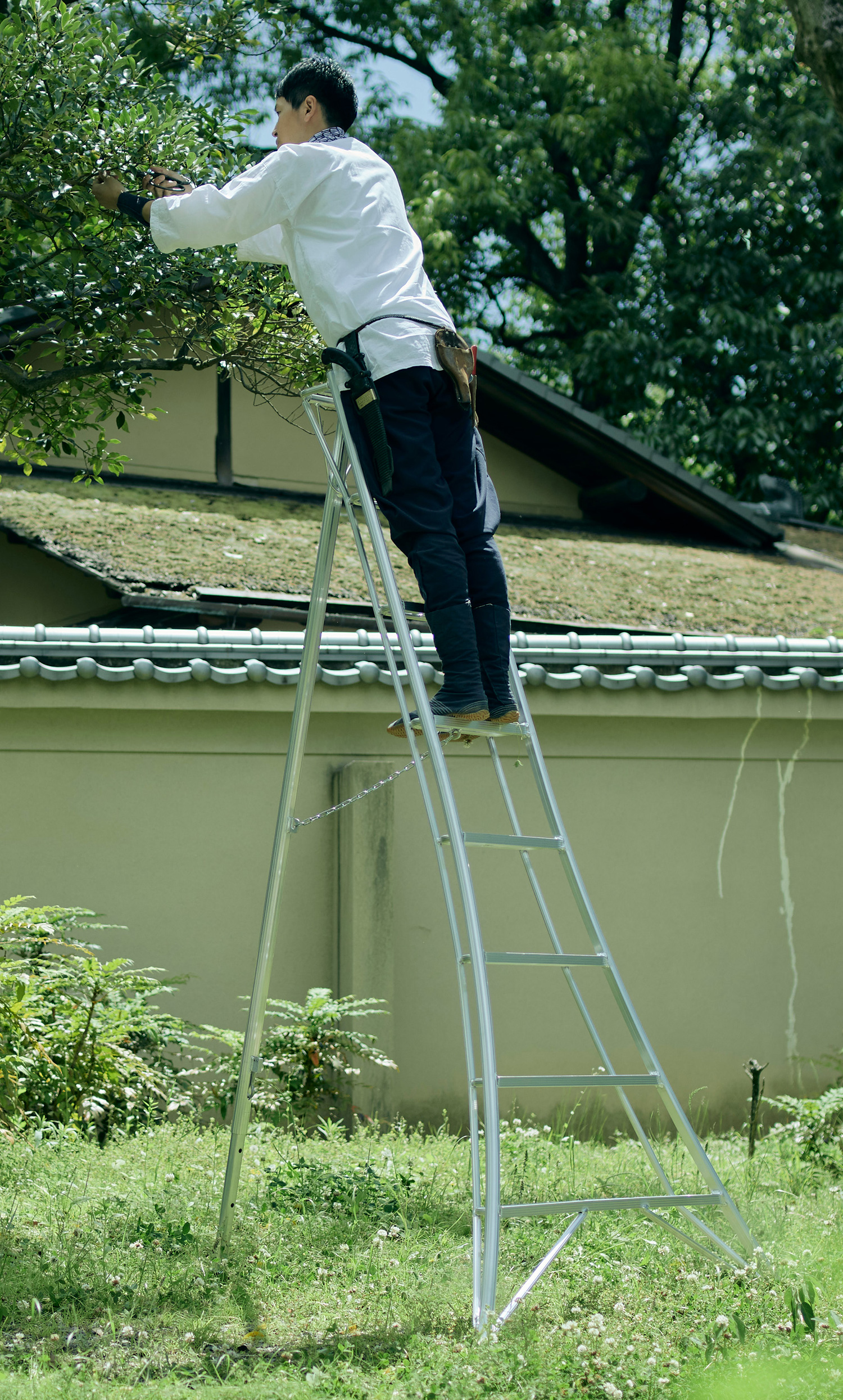 Tripod Ladder